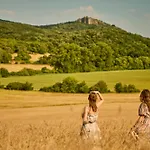 Monoslow - Wine, Dine & Rest Bed and Breakfast
