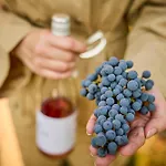 Bed and Breakfast Monoslow - Wine, Dine & Rest 3*