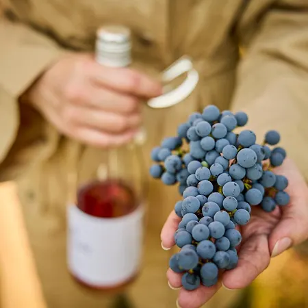 לינה וארוחת בוקר Monoslow - Wine, Dine & Rest 3*