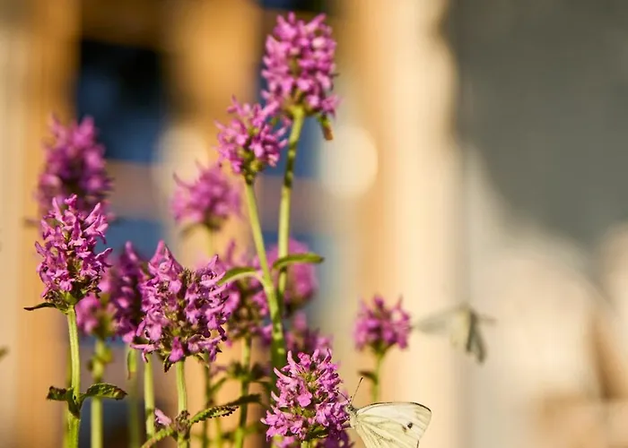 Nocleg ze śniadaniem Monoslow - Wine, Dine & Rest