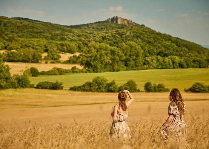 Monoslow - Wine, Dine & Rest Nocleg ze śniadaniem