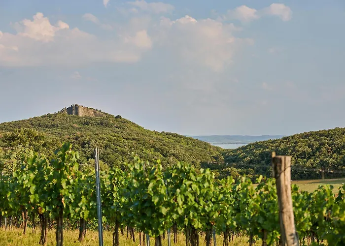 Monoslow - Wine, Dine & Rest Bed and Breakfast