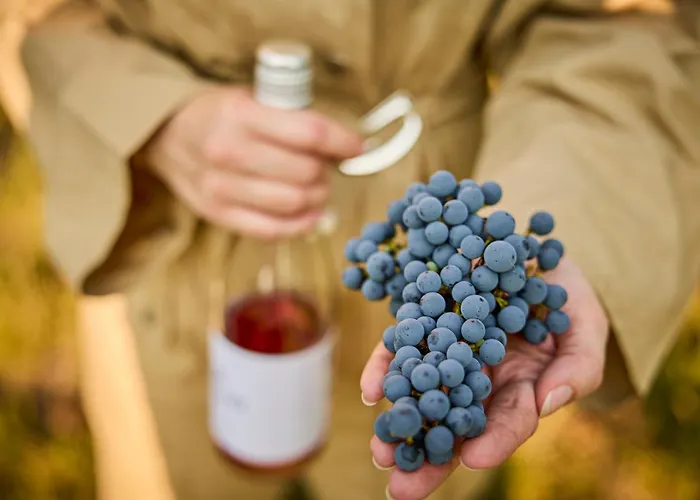 לינה וארוחת בוקר Monoslow - Wine, Dine & Rest 3*