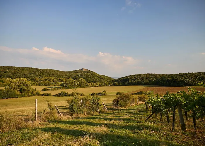 Monoslow - Wine, Dine & Rest